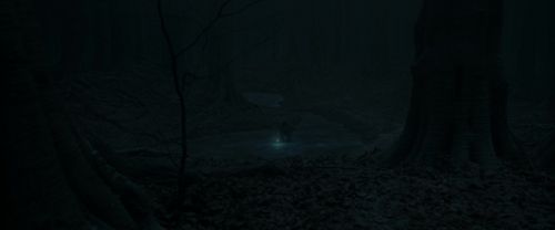 Click to view full size image
==============
RdM1-Potterish9904.jpg RdM1-Potterish9904.jpg