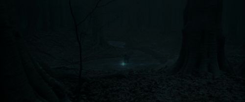 Click to view full size image
==============
RdM1-Potterish9906.jpg RdM1-Potterish9906.jpg