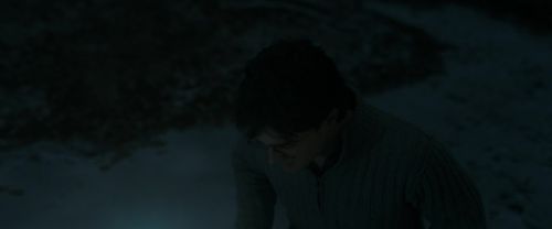 RdM1-Potterish9914.jpg