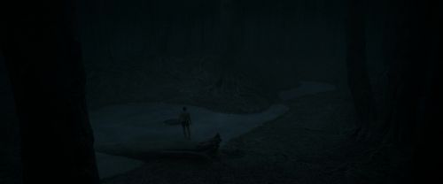 RdM1-Potterish9945.jpg
