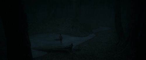 RdM1-Potterish9947.jpg