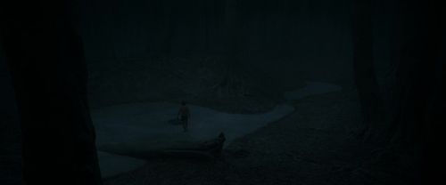 RdM1-Potterish9950.jpg