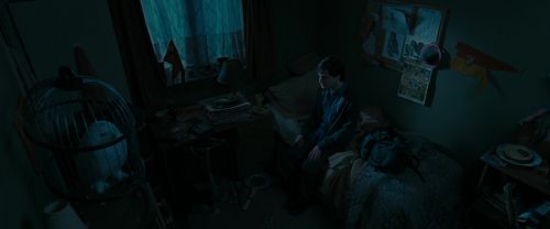 Click to view full size image
==============
RdM1-Potterish996.jpg RdM1-Potterish996.jpg