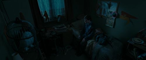RdM1-Potterish998.jpg
