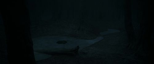 Click to view full size image
==============
RdM1-Potterish9985.jpg RdM1-Potterish9985.jpg