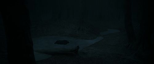 RdM1-Potterish9986.jpg