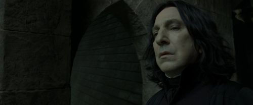 RdM2-Potterish_00172.jpg