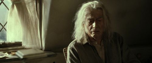 RdM2-Potterish_01110.jpg