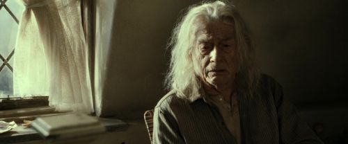 RdM2-Potterish_01113.jpg