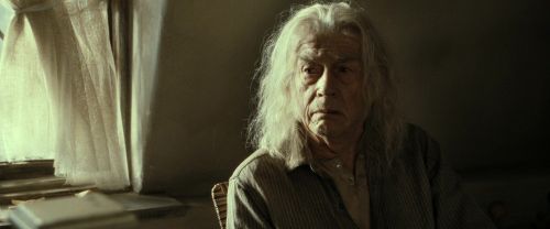 RdM2-Potterish_01132.jpg