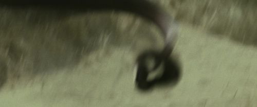 Click to view full size image
==============
RdM2-Potterish_01291.jpg RdM2-Potterish_01291.jpg