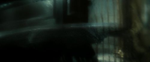 RdM2-Potterish_01612.jpg