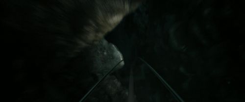 RdM2-Potterish_01669.jpg