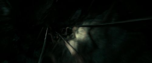 RdM2-Potterish_01711.jpg