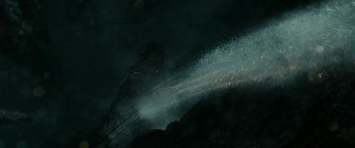 Click to view full size image
==============
RdM2-Potterish_01729.jpg RdM2-Potterish_01729.jpg