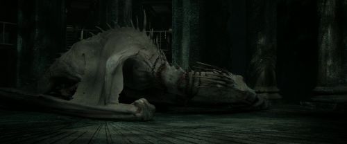 RdM2-Potterish_01894.jpg
