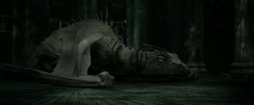 RdM2-Potterish_01895.jpg