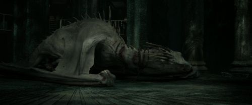 Click to view full size image
==============
RdM2-Potterish_01898.jpg RdM2-Potterish_01898.jpg
