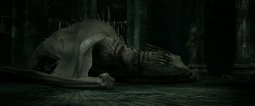 RdM2-Potterish_01900.jpg