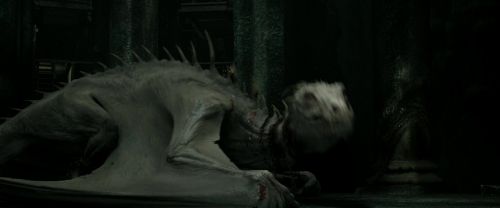 Click to view full size image
==============
RdM2-Potterish_01914.jpg RdM2-Potterish_01914.jpg