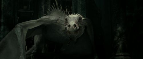 RdM2-Potterish_01916.jpg