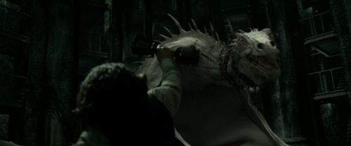 RdM2-Potterish_01923.jpg