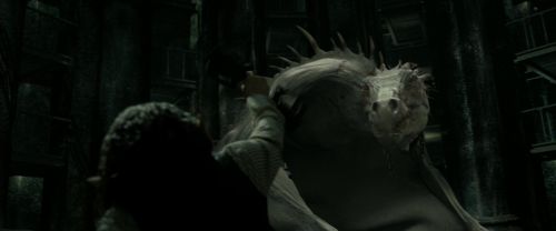 RdM2-Potterish_01924.jpg