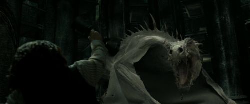 Click to view full size image
==============
RdM2-Potterish_01925.jpg RdM2-Potterish_01925.jpg