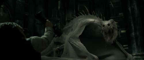 Click to view full size image
==============
RdM2-Potterish_01926.jpg RdM2-Potterish_01926.jpg