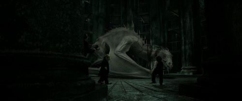 Click to view full size image
==============
RdM2-Potterish_01938.jpg RdM2-Potterish_01938.jpg