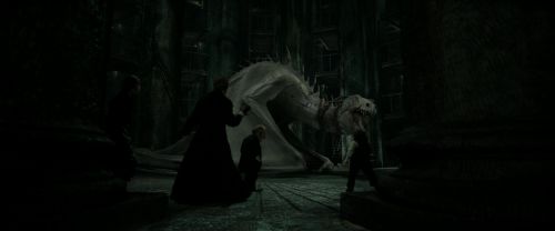 Click to view full size image
==============
RdM2-Potterish_01940.jpg RdM2-Potterish_01940.jpg