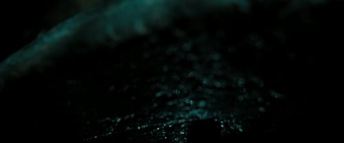 RdM2-Potterish_02242.jpg