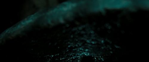 Click to view full size image
==============
RdM2-Potterish_02243.jpg RdM2-Potterish_02243.jpg