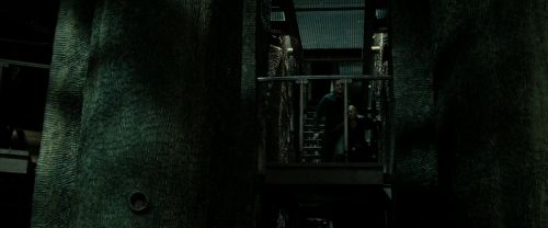 RdM2-Potterish_02278.jpg