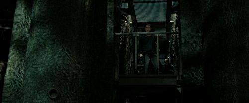 RdM2-Potterish_02279.jpg
