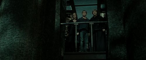 Click to view full size image
==============
RdM2-Potterish_02292.jpg RdM2-Potterish_02292.jpg
