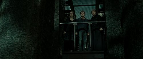 Click to view full size image
==============
RdM2-Potterish_02294.jpg RdM2-Potterish_02294.jpg