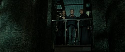 RdM2-Potterish_02295.jpg