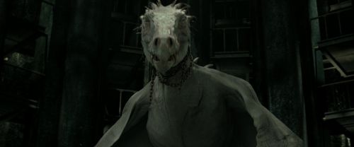 RdM2-Potterish_02301.jpg