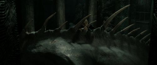 Click to view full size image
==============
RdM2-Potterish_02362.jpg RdM2-Potterish_02362.jpg