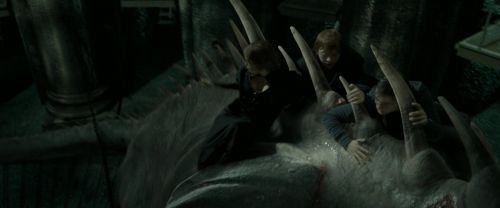 Click to view full size image
==============
RdM2-Potterish_02368.jpg RdM2-Potterish_02368.jpg