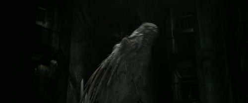 RdM2-Potterish_02379.jpg