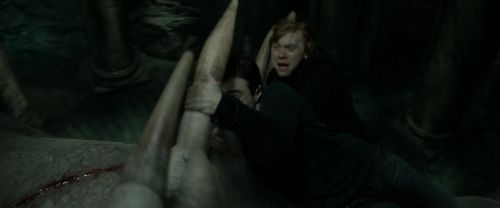 Click to view full size image
==============
RdM2-Potterish_02388.jpg RdM2-Potterish_02388.jpg