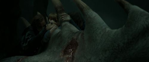 RdM2-Potterish_02402.jpg