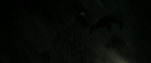 Click to view full size image
==============
RdM2-Potterish_02412.jpg RdM2-Potterish_02412.jpg