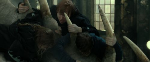 Click to view full size image
==============
RdM2-Potterish_02452.jpg RdM2-Potterish_02452.jpg