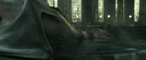 RdM2-Potterish_02453.jpg