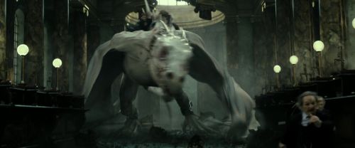 RdM2-Potterish_02461.jpg