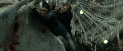 RdM2-Potterish_02474.jpg