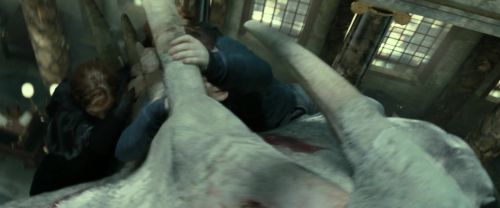 Click to view full size image
==============
RdM2-Potterish_02478.jpg RdM2-Potterish_02478.jpg